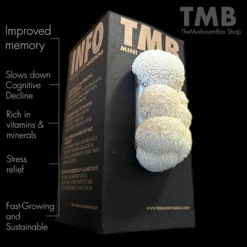 Mane Mushrooms Grow Box | Mushroom Grow Kit | Thee Leaf