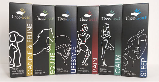 CBD Oil