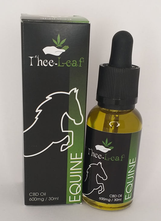 CBD Oil for Equine