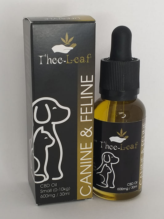 CBD Oil for Pets