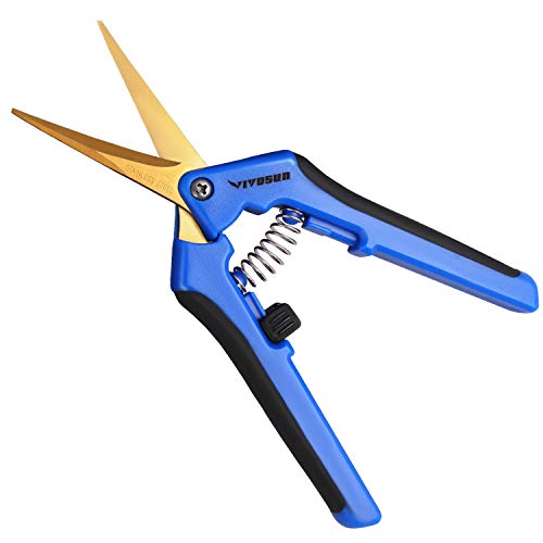 Curved tip Scissor